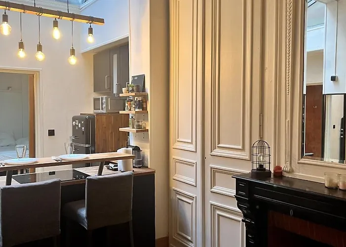 Le Cocon Urbain 4 Pers Hyper Centre Et Terrasse リール